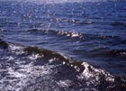 Vatten, sand, gr&auml;s 23
