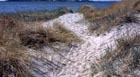 Vatten, sand, gr&auml;s 27