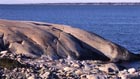H&ouml;st 2006 12