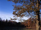 H&ouml;st 2006 15
