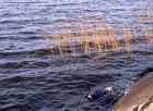 H&ouml;st 2006 22