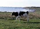 07 Sand&ouml; 48