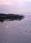 V&aring;r 2008 3