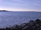 V&aring;r 2008 6