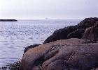 V&aring;r 2008 33
