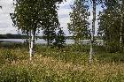 sommar 09 98